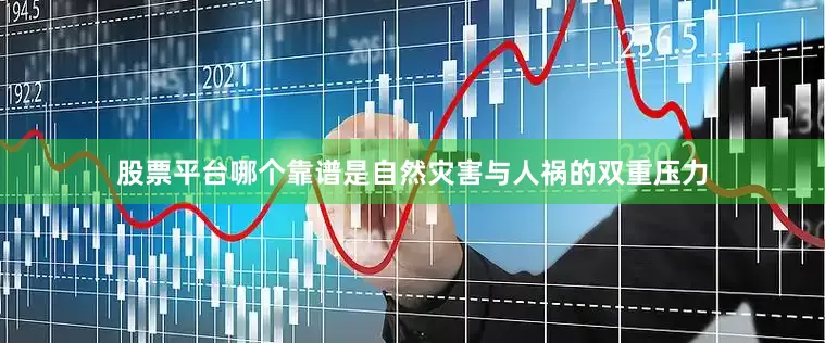 股票平台哪个靠谱是自然灾害与人祸的双重压力