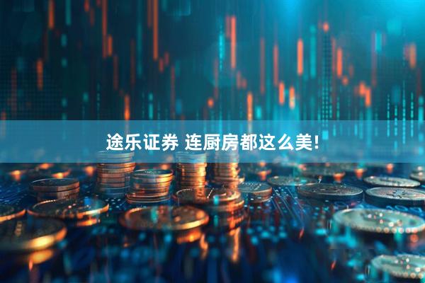 途乐证券 连厨房都这么美!