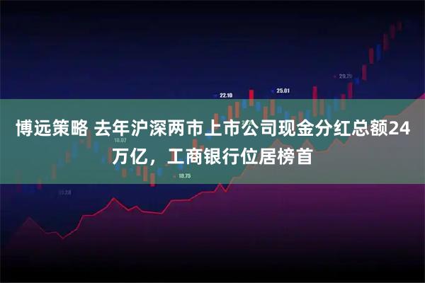 博远策略 去年沪深两市上市公司现金分红总额24万亿，工商银行位居榜首