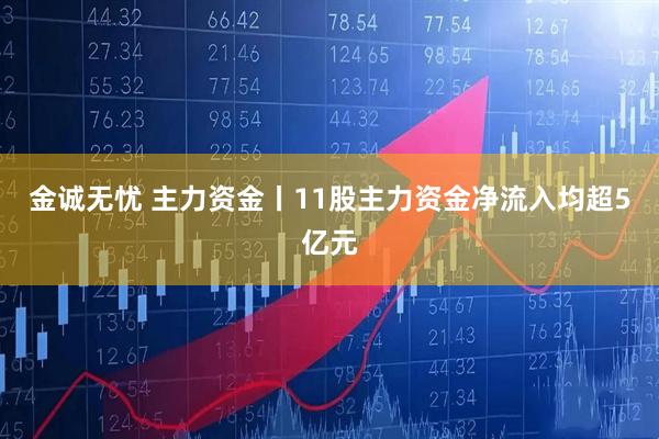 金诚无忧 主力资金丨11股主力资金净流入均超5亿元